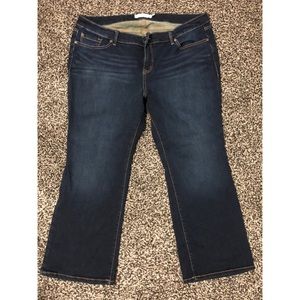 Torrid Relaxed Boot Jean